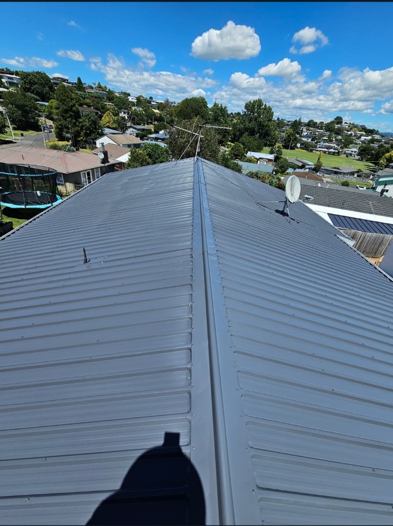 After Roof Painting & Restoration