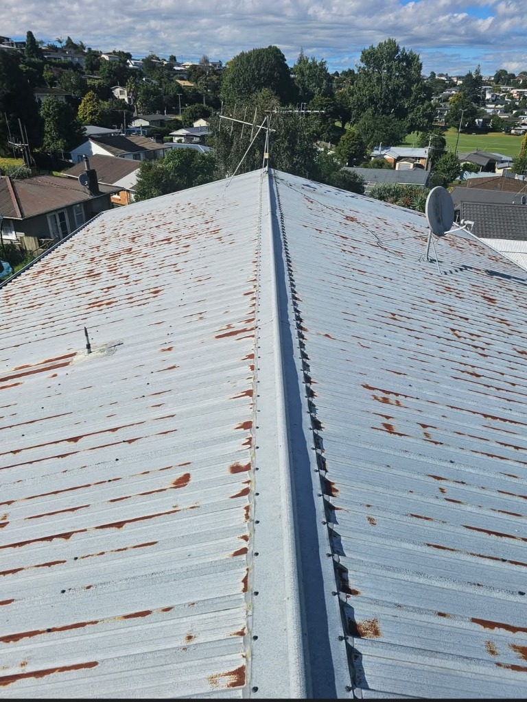 Before Roof Painting & Restoration